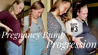 Pregnant Baby Bump Progression | Pregnancy with baby number 3 | #pregnancy #babybump