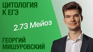 2.73. Мейоз | Цитология к ЕГЭ | Георгий Мишуровский