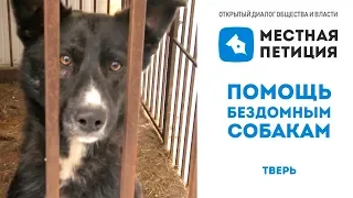 Бездомные собаки.  МЕСТНАЯПЕТИЦИЯ.РФ