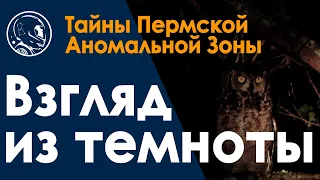 Взгляд из темноты  Неизвестные животные  Пермская Аномальная Зона М