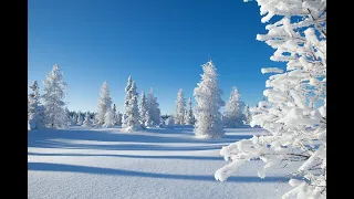 Завируха#зима#снег#музыка #настроение #виа #викторкамашев