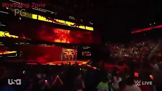 wwe Roman reings attacks brock lesnar  on April 2nd 2018