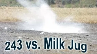 243 vs Milk Jug