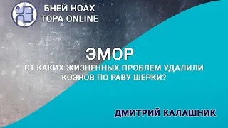 От каких жизненных проблем удалили коэнов по раву Шерки? Недельная глава Эмор