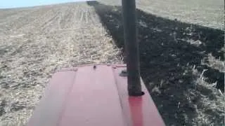 '77 IH 1086 plowing- From the Drivers seat