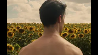 Sunflower | Trailer