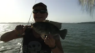 Fishing the Panama Canal for Peacock Bass, Oscar, Snook, and Tilapia