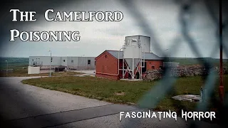 The Camelford Poisoning | A Short Documentary | Fascinating Horror