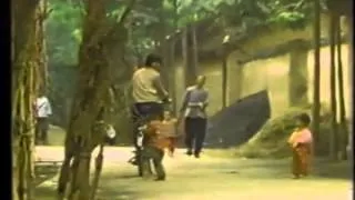 ８０年代の陳家溝と陳氏太極拳
