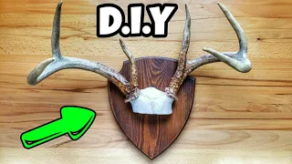 HOW TO MOUNT A DEER SCALP!