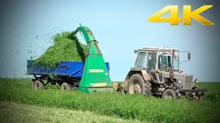 Старый трактор МТЗ-80 с косилкой КИР-1,5М - заготовка подкормки для фермы