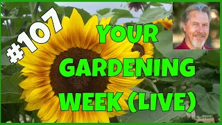 Planning Your Garden Harvest (Q&A)