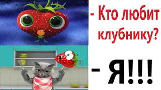 Лютые приколы. КОТ ЛЮБИТ КЛУБНИКУ!!! Тест на психику! Засмеялся проиграл! – Domi Show!