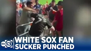 Video captures White Sox fan getting slugged during Astros playoff game