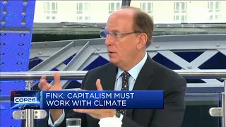 We must do more than window dressing when it comes to climate: Fink