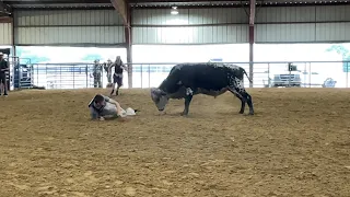 Human Vs Bull