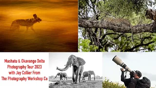 Mashatu & Okavango Delta 2023 Photo Safari with Jay Collier from The Photography Workshop Co