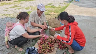 Lychees are sold at the market, the farm is expanded, and fish ponds are dug