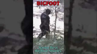 Real Big Beautiful Bigfoot!!! What you think???😨😨 #Bigfoots testimony