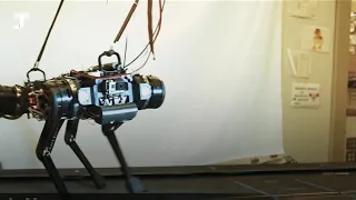 В США создали «слепого» робота без камер