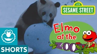 Elmo and Zoo Animals Play Games! (Elmo at the Zoo #10)