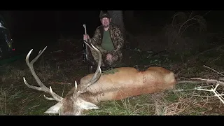 Sudecka Ostoja 40/2020. Rykowisko cz3. Polowanie na jelenie. Hunting Red Stag in Poland