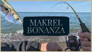 Makrel bonanza - Bovbjerg Fyr 2023, fang en makrel, hvordan fanges en makrel, se hvordan vi gør.