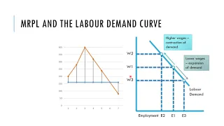 25 Marginal Productivity Theory   REC