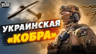 Украинская "Кобра" готова жалить оккупантов. Все о новой боевой птичке
