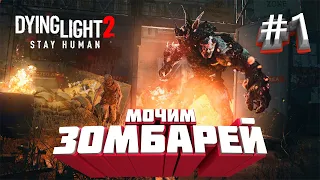 Dying Light 2 stay human - Обзор игры / Полное прохождение