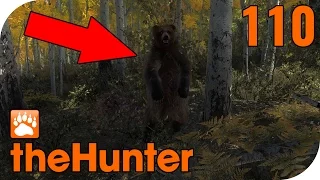 THE HUNTER #110 - GRIZZLYANGRIFF auf TIMBERGOLD TRAILS! 🐗 || Let's Play The Hunter || German