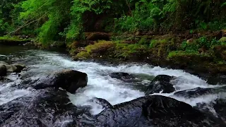 4 HOURS - White Noise for Sleeping, Mountain Stream Nature Sounds-Forest Sounds Relaxation