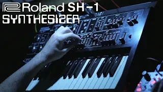 Roland SH-1 & Korg SQ-1 'Berlin School' One-synth melodic pattern tweaking and drones
