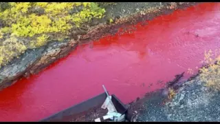 Sign of the Times: Russian River Mysteriously Turns Blood Red