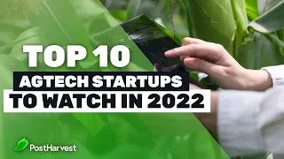 Top 10 AgTech Startups