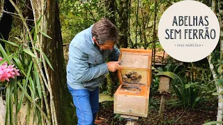 O santuário das abelhas sem ferrão!