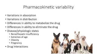 Lecture 1.3: Therapeutic window