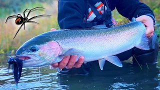 EPIC Summer Steelhead Fishing! BLACK WIDOWS Infested Our Camp!!