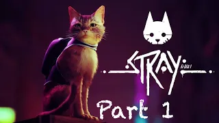 Stray - Walkthrough Gameplay Part 1 - INTRO (FULL GAME) | No Commentary | PS5