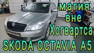 SKODA OCTAVIA A5 магия вне Хогвартса