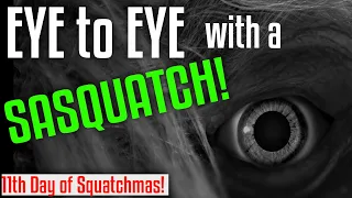 Eye to Eye with a Sasquatch! Plus - Cyclist is trailed by a Bigfoot.