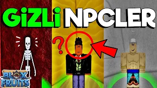 3 GİZLİ SATICI (3 HIDDEN NPCS IN THE FIRST SEA) - Blox Fruits #40 (ROBOTMEGA SİZİ BANLATABİLİR Mİ?)