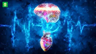 Heart Brain Coherence | Synchronicity Binaural Beats | 0.1 Hertz Frequency | Meditation Music