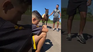 Ele só queria um cavalo para brincar #Shorts