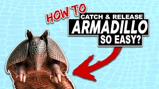HOW TO CATCH An ARMADILLO...SO EASY? See How I trap and Release an Armadillo At My Home!