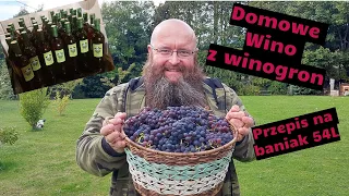 Wino z winogron - przepis na balon 54L