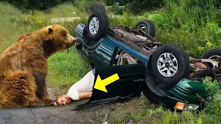 This Man Had An Life-Threatening Accident, Then A Bear Saw Him And Did The Unthinkable!