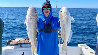 Slow Pitch Jigging in DEEP water for GOLDEN TILEFISH | Catch & Cook