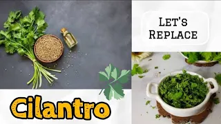 Substitute for Cilantro ( Dried and fresh)