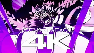 [4K] Law & Kid Combine Attack Big Mom | One Piece 1066 - Eng Subs
